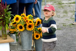 Ottawa Valley Farmers Markets - Carp Market in the summer