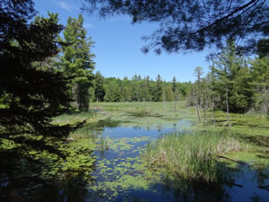 High Lonesome Nature Reserve
